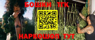 гидра Аргун