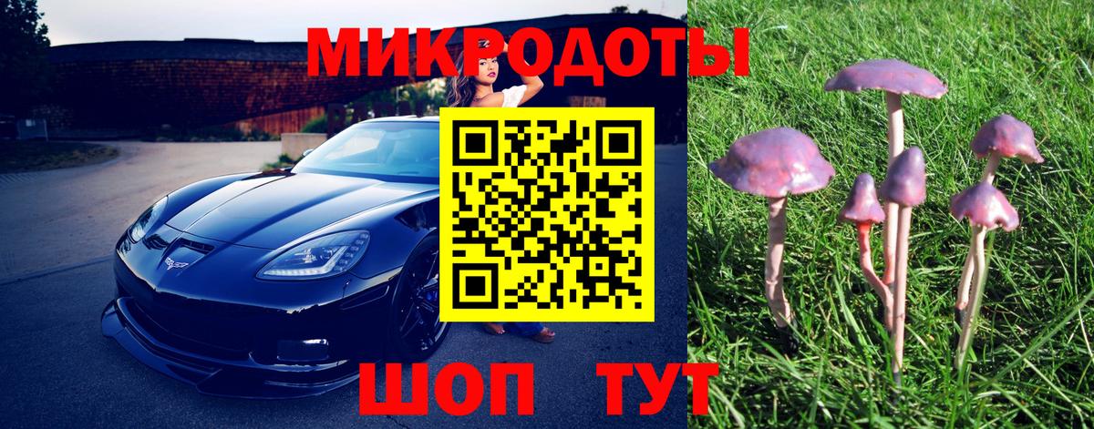 Галлюциногенные грибы прущие грибы  Шебекино 