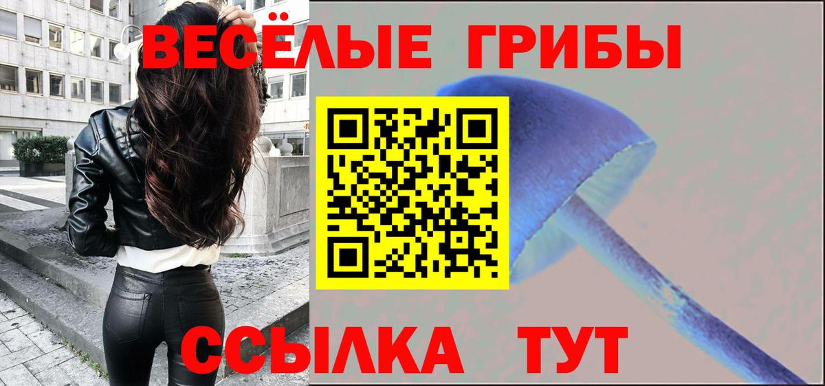 Шебекино  Галлюциногенные грибы ЛСД  Вход с VPN 