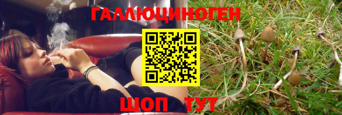 Галлюциногенные грибы Cubensis Шебекино