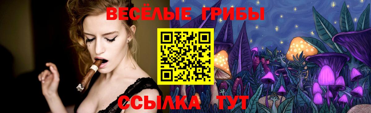 Галлюциногенные грибы мухоморы Шебекино